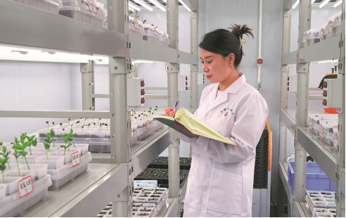 Science fuels farm yields in Shaanxi