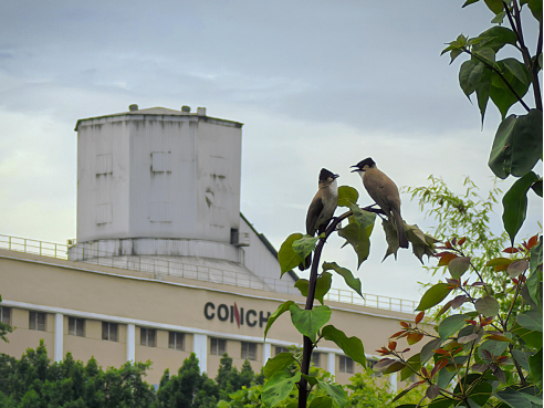 New Finance Policy to Boost Green Factory Growth